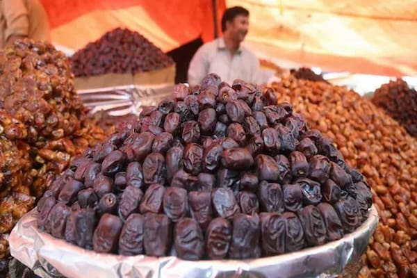 تصویر 3 از قیمت خرید خرما کبکاب اصل + فروش ویژه